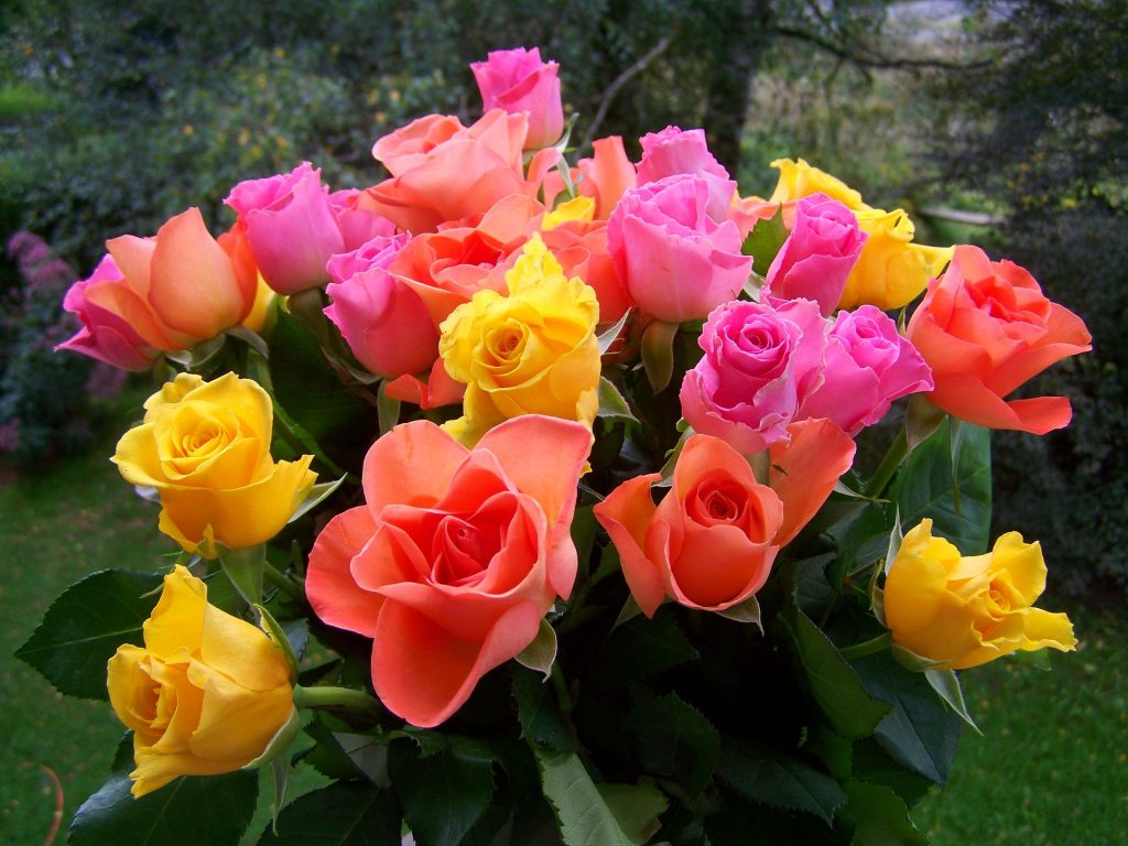 Bloemen online bestellen